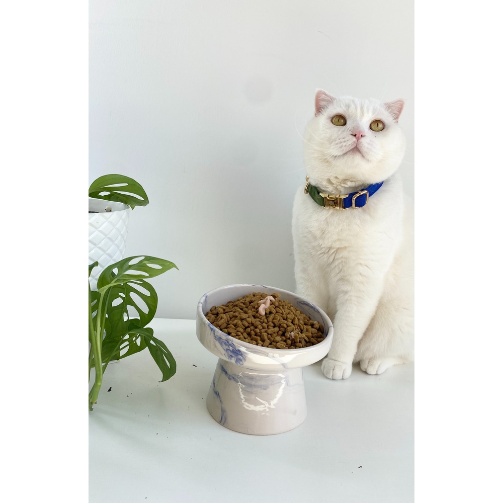 Pet Bowls & Feeding Sets
