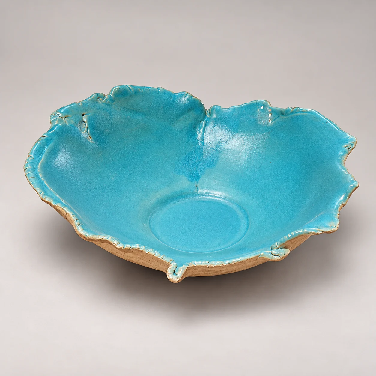 Ocean Shell Maza bļoda
